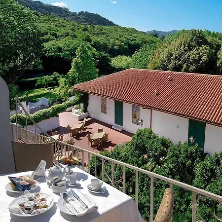 Seebay Hotel 4*
